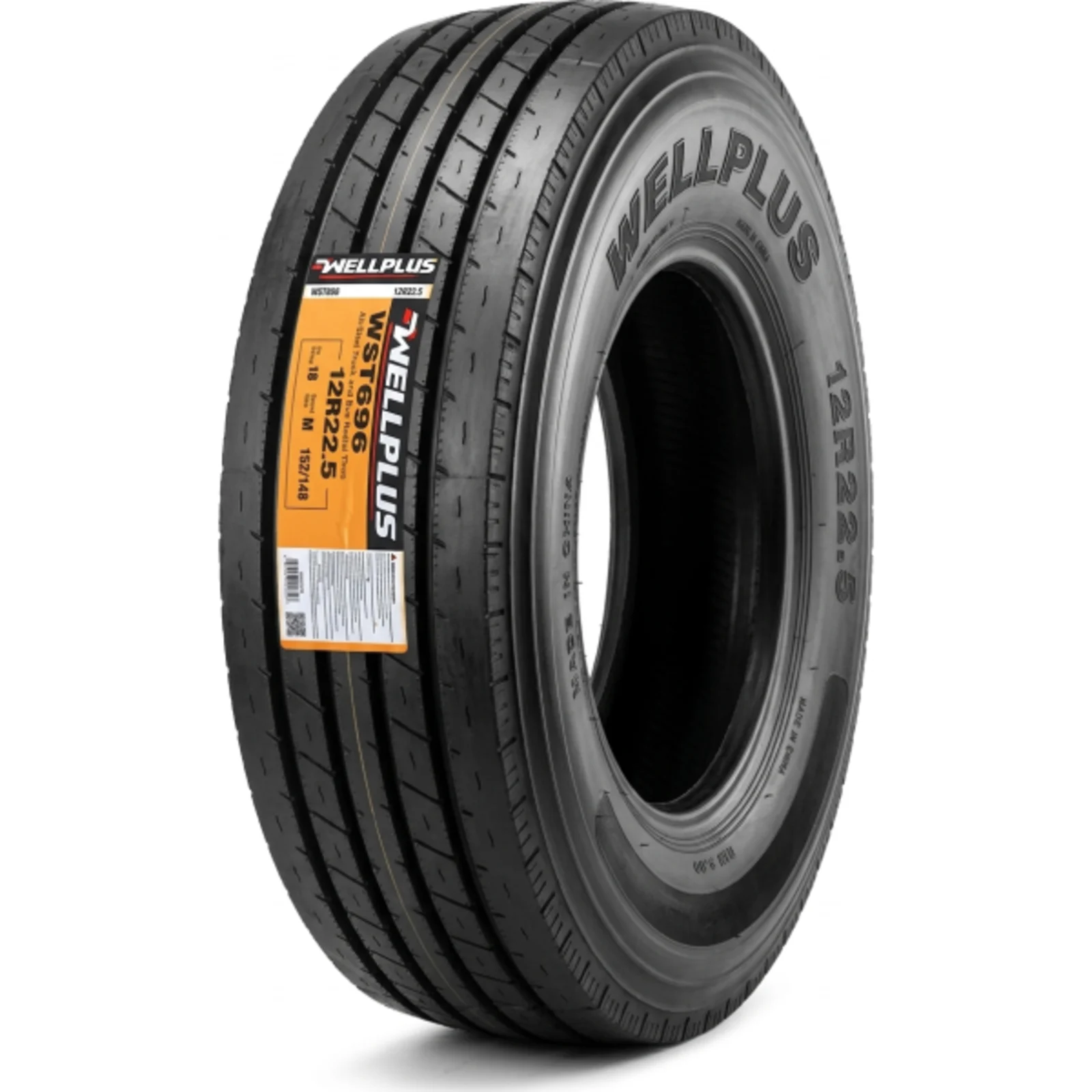 WELLPLUS WST696