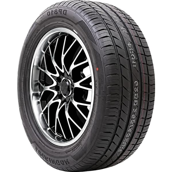 DURINGON DP810